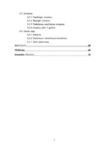 Biznesa plāns 'Pakalpojumi izklaides sfērā SIA "Chick Jazz"', 5.