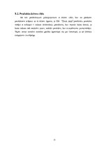 Biznesa plāns 'Pakalpojumi izklaides sfērā SIA "Chick Jazz"', 22.