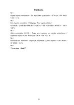 Biznesa plāns 'Pakalpojumi izklaides sfērā SIA "Chick Jazz"', 29.