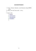 Biznesa plāns 'Pakalpojumi izklaides sfērā SIA "Chick Jazz"', 30.