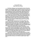 Eseja 'Mana nākotnes profesija', 1.