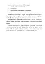 Referāts 'Juridiskais pozitīvisms', 5.