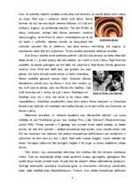 Referāts 'Padomju Krievijas kinooperators Sergejs Urusevskis (Сергей Павлович Урусевский)', 4.