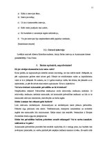 Prakses atskaite 'Prakses atskaite', 11.