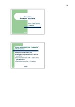 Prakses atskaite 'Prakses atskaite', 29.