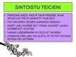 Prezentācija 'Sintoisms', 10.