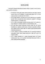 Referāts 'ASV ekonomiskā vara un politiskā ietekme pasaulē', 17.