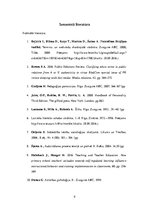 Referāts 'Definīciju skaidrojumi', 9.