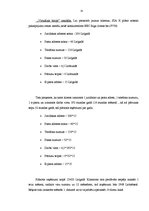 Prakses atskaite 'Grāmatvedības pakalpojumu sniedzoša uzņēmuma plānošana, uzņēmuma biznesa plāns', 25.