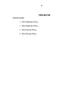 Prakses atskaite 'Grāmatvedības pakalpojumu sniedzoša uzņēmuma plānošana, uzņēmuma biznesa plāns', 40.