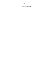 Prakses atskaite 'Grāmatvedības pakalpojumu sniedzoša uzņēmuma plānošana, uzņēmuma biznesa plāns', 43.