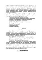 Referāts 'Uzņēmuma finanšu pārskata sastādīšanas organizēšana', 38.