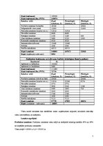 Biznesa plāns 'Viesu mājas finanšu rādītāju analīze', 7.