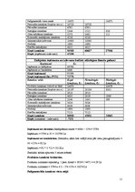 Biznesa plāns 'Viesu mājas finanšu rādītāju analīze', 11.