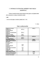 Biznesa plāns 'Viesu mājas finanšu rādītāju analīze', 20.