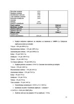 Biznesa plāns 'Viesu mājas finanšu rādītāju analīze', 21.