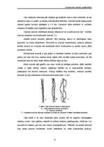 Referāts 'Latvijas mežu ainavas vizuālā uztvere', 14.