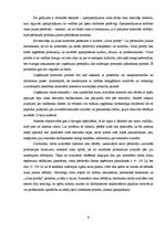 Referāts 'Plānošanas un kontroles analīze SIA "A"', 9.