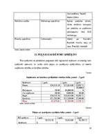 Biznesa plāns 'Žetoni darba laika uzskaitei', 14.