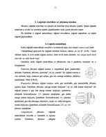 Referāts 'Jēdzienu loģiskās attiecības', 11.