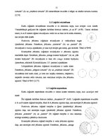 Referāts 'Jēdzienu loģiskās attiecības', 12.