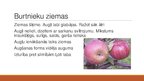Prezentācija 'Augļu koku un ogulāju šķirnes', 7.