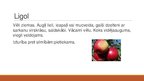 Prezentācija 'Augļu koku un ogulāju šķirnes', 8.
