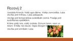Prezentācija 'Augļu koku un ogulāju šķirnes', 13.