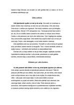 Konspekts 'Zobi', 2.