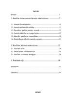 Referāts 'Konflikts jauniešu vidū', 1.