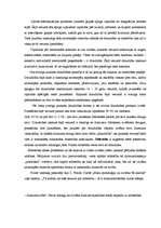 Referāts 'Konflikts jauniešu vidū', 17.