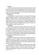 Referāts 'Konflikts jauniešu vidū', 26.