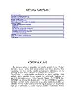 Biznesa plāns 'SIA "Tulks"', 1.