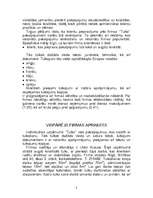 Biznesa plāns 'SIA "Tulks"', 2.