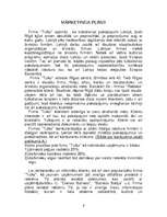 Biznesa plāns 'SIA "Tulks"', 5.