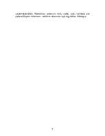 Biznesa plāns 'SIA "Tulks"', 6.