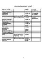 Biznesa plāns 'SIA "Tulks"', 11.