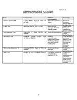 Biznesa plāns 'SIA "Tulks"', 13.