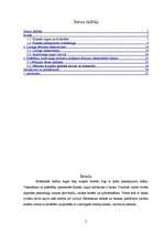 Referāts 'Patērētāju autolīzinga produkta pirkšanas lēmumu ietekmējošie faktori', 2.