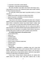 Referāts 'Patērētāju autolīzinga produkta pirkšanas lēmumu ietekmējošie faktori', 17.