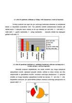 Referāts 'Patērētāju autolīzinga produkta pirkšanas lēmumu ietekmējošie faktori', 28.
