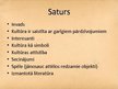 Prezentācija 'Kultūras specifika', 2.