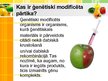 Prezentācija 'Iedzīvotāju informētība par ģenētiski modificēto pārtiku', 3.