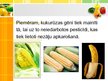 Prezentācija 'Iedzīvotāju informētība par ģenētiski modificēto pārtiku', 5.