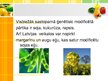 Prezentācija 'Iedzīvotāju informētība par ģenētiski modificēto pārtiku', 6.