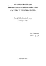 Eseja 'Latvija kā daudznacionāla valsts', 1.