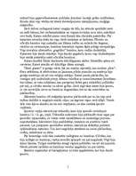 Referāts 'Ķecerības un inkvizīcija', 5.