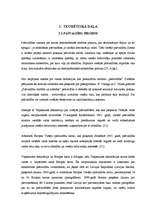 Diplomdarbs 'Jelgavas pašvaldības budžeta veidošanas problēmas', 7.