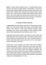 Diplomdarbs 'Jelgavas pašvaldības budžeta veidošanas problēmas', 13.