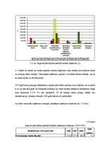Diplomdarbs 'Jelgavas pašvaldības budžeta veidošanas problēmas', 45.